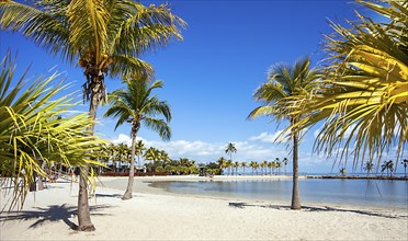 The Round Beach at Matheson Hammock County Park Miami Florida