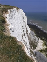 Dover chalk cliffs