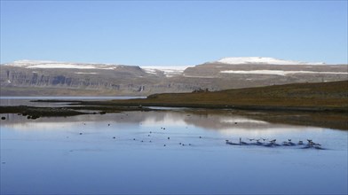 Fjord landscape in the Westfjords of Iceland
