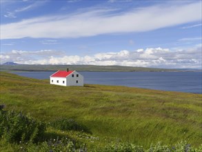 Coastal landscape with house in the north-east of Iceland