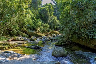 Beautiful river crossing the rainforest between the stones and vegetation in Ilhabela, Ilhabela,