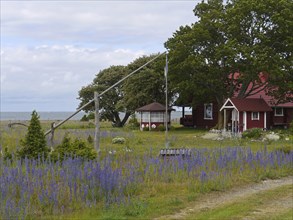 Wooden house near Ohessaare, Saaremaa, Estonia, Europe