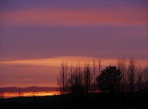 Winter sunset in Lapland