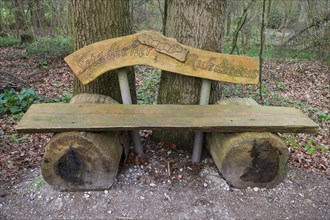 Bench on a forest path, Franconia, Bavaria, Germany, Europe