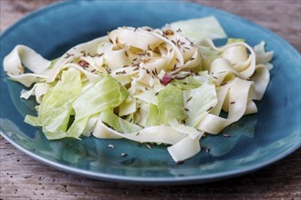 Bavarian cabbage salad on a blue plate