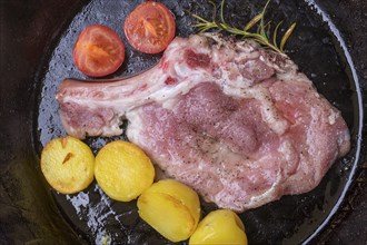 Veal escalope in an iron pan