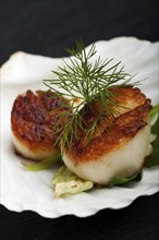 Grilled scallops