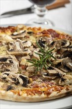 Close-up of mushroom pizza with rosemary