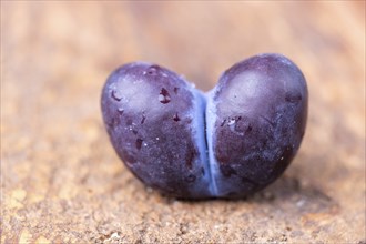 Heart-shaped plum on dark wood