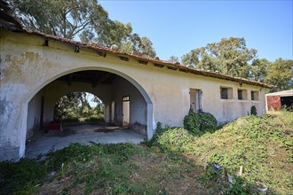 An abandoned building in poor condition is surrounded by green vegetation, with an open entrance,