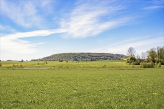 View from a meadow towards Alleberg, a table mountain that is part of the Unesco geopark in Sweden,