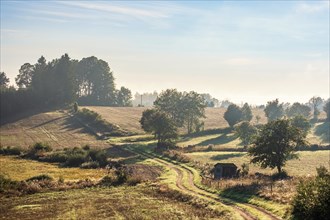 Winding dirt road in a rolling landscape with fields and meadows in the countryside a late summer