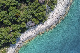 Coast with turquoise water, island of Hvar, Dalmatia, Croatia, Europe