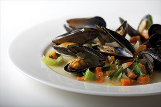 Mussels on a plate