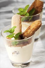 Tiramisu in a glass with peppermint leaves