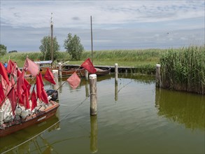 Several boats with red flags are moored on a wooden jetty, surrounded by reeds and under a cloudy