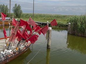 Small boat with many red flags in the calm water near jetties and reeds, ahrenshoop, zingst,