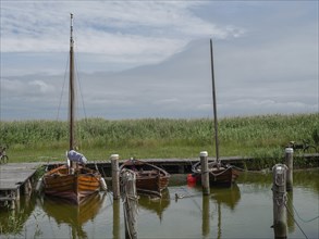 Three wooden boats lying on a jetty in the water, surrounded by dense reeds and a cloudy sky,