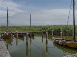 Several boats are moored in the calm waters of a small harbour entrance, surrounded by tall reeds