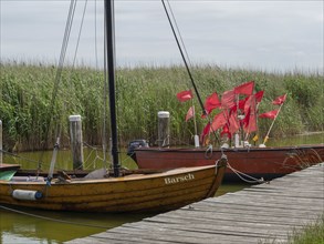 Two wooden boats with red sails are moored on a wooden jetty in the water, surrounded by thick