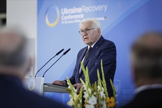 Federal President Frank-Walter Steinmeier recorded during the evening reception at the Ukraine