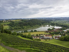 Thunderclouds over Silberberg vineyard, Sulmsee, near Leibnitz, Styria, Austria, Europe
