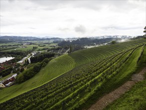 Thunderclouds over a vineyard, Silberberg, near Leibnitz, Styria, Austria, Europe