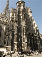 Imposing Gothic cathedral with horse-drawn carriages and tourists in the foreground, Vienna,