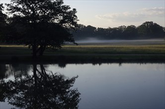 Summer morning atmosphere, morning fog, Germany, Europe