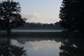 Summer morning atmosphere, morning fog, Germany, Europe
