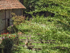 A green garden with flower pots on a wooden fence and an old brick wall in the background, ochtrup,