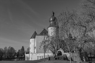 A castle with several towers and a large tree in the foreground, photographed in black and white,