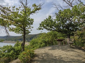 Wooden bench on a hill overlooking a lake and wooded hills, under a partly cloudy sky, Waldeck,