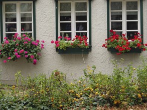 House façade with three windows and colourful flower boxes in red and pink, including a dense