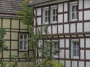 Two half-timbered houses with trees and plants in the foreground, Werl, North Rhine-Westphalia,