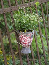 A flower pot with flowers hangs on an iron fence in the garden, surrounded by green landscape,