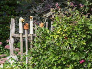 A wooden fence with decorative duck heads in a green garden full of bushes and rich vegetation,