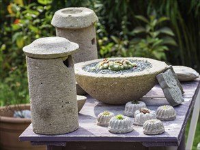 A garden area with rustic stone sculptures and small flowering decorations on a wooden table