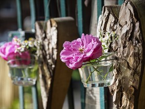 A glass with pink roses and small white flowers hanging from a wooden board, giving it a rustic