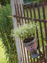 A flower pot in bloom hanging from an iron fence in the garden, SChermbeck North Rhine-Westphalia,