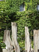 Wooden posts in a rustic garden with green plants and an overgrown background, SChermbeck North