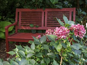 Red garden bench in front of flowering plants and green garden background, SChermbeck North