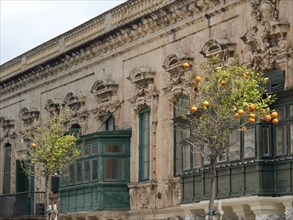 Facade of a historic building with two orange trees growing along the street, valetta,