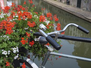 A bicycle leans against a railing, decorated with blooming flowers, along a canal with reflecting