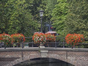 Bridge with flowers and a lantern crossing a green canal, utrecht, Netherlands