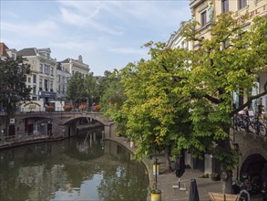 City view with a green tree in front of a bridge and canals, surrounded by historic buildings,