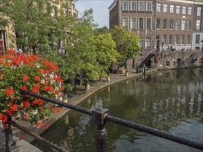 Colourful flowers in the foreground of a canal with classic house facades and lush trees, utrecht,