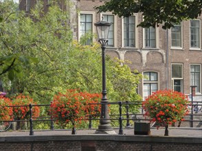 Historic lamp and blooming flower arrangements on a picturesque canal, utrecht, Netherlands