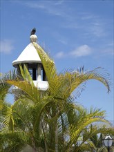 White tower with a bird on top, surrounded by green palm leaves and blue sky