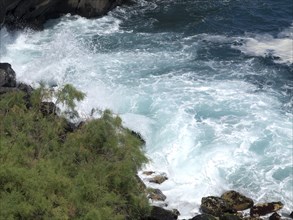 View of foaming waves crashing against a rocky coastline, surrounded by green plants